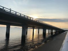 -演武大桥观景平台