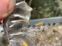 -美味海鲜大排档(明发美食地标店)