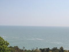 -广东惠东海龟国家级自然保护区