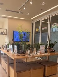 点击看大图 -dōTERRA多特瑞精油生活馆