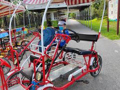 -永定河休闲森林公园