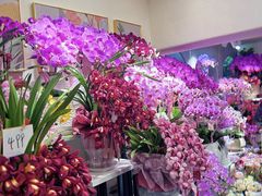 -循礼门鲜花花市(武汉循礼门店)