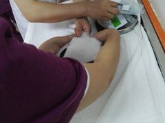 -惠康宠物医院(华能路店)