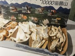 -芸山季·云南山珍菌火锅(南翔印象城MEGA店)