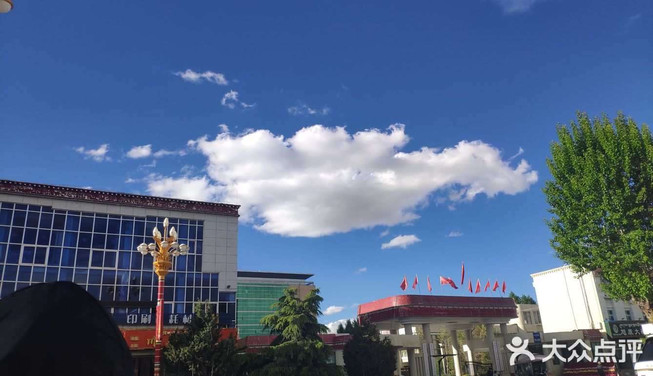 我在日喀则挺好的，无非也就是头晕头痛失眠耳鸣四肢无力。。。