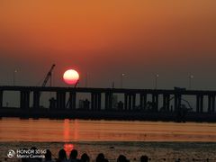 -宝安西湾红树林湿地公园