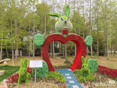 -东平国家森林公园