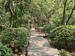 -南京市江宁方山
