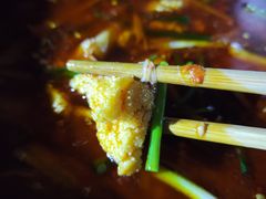 鲜鱼蛋-钟云山鲜鱼蛋