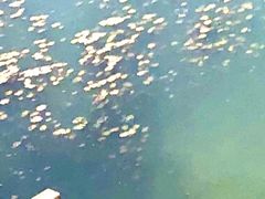 -白河湾生态旅游一条川