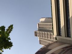 -上海波特曼丽思卡尔顿酒店