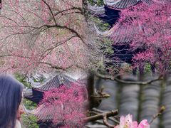 -峨眉山报国寺