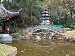 -深圳国际园林花卉博览园