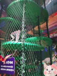 -恐龙探索乐园(磁器口店)