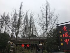 -青城甲(青城山店)