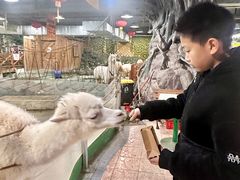 -上海大自然野生昆虫馆(东方明珠·爬宠昆虫探索中心)