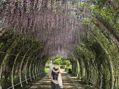 -同里国家湿地公园