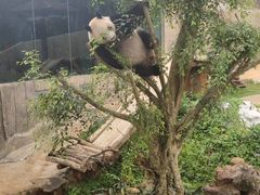 -海南热带野生动植物园
