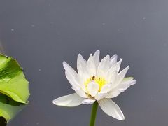 -云溪植物园