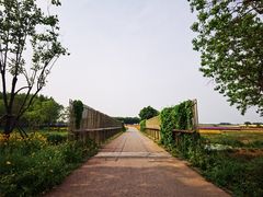 -江苏三台山国家森林公园