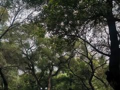 -北陵公园