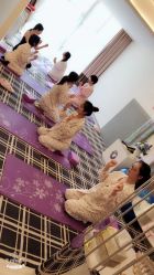-宝生月子中心(民治店)
