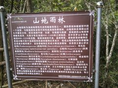 -海南热带雨林国家公园吊罗山景区