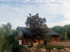 -梁鸿国家湿地公园