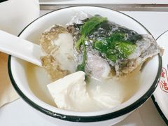-煲来饱去冷水鱼