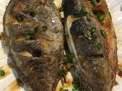 香煎泥鯭-强记海鲜·大排档(蛇口新街店)