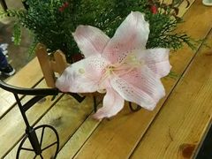 -巴渝菜馆(涿州店)