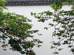 -拙政园