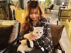 -咖法森林·咖啡  酒吧(天河店)