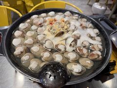 大白贝-水哥卜卜贝(东晓·胜汇里店)