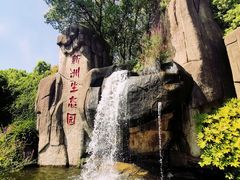 -新洲生态园
