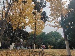 -月湖风景区