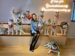 -Husky Go! 哈士奇体验馆·宠物咖啡厅狗咖