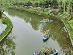-上海鲜花港