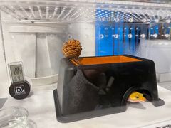 -酷以爬仙阁实体爬宠店·守宫·蜥蜴·专业繁育