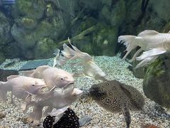-正佳极地海洋世界