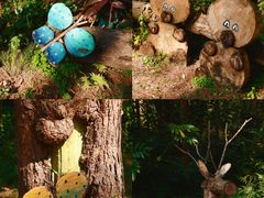 -三门江国家森林公园