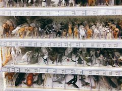 -TOYSRUS玩具反斗城(正大广场店)