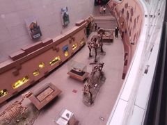 -陕西自然博物馆