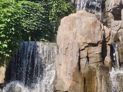 -燕塞湖鸟语林景区