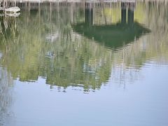 -洋湖国家湿地公园