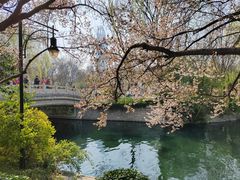 -环城公园