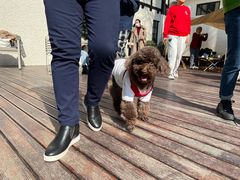 -一尺花园(安和花园店)