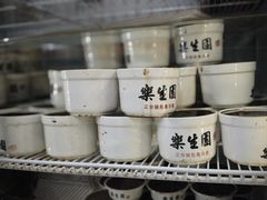 -乐生园