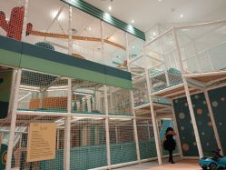 -奈尔宝·儿童乐园·亲子餐厅(鄞州万达店)
