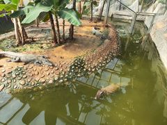 -石家庄市动物园